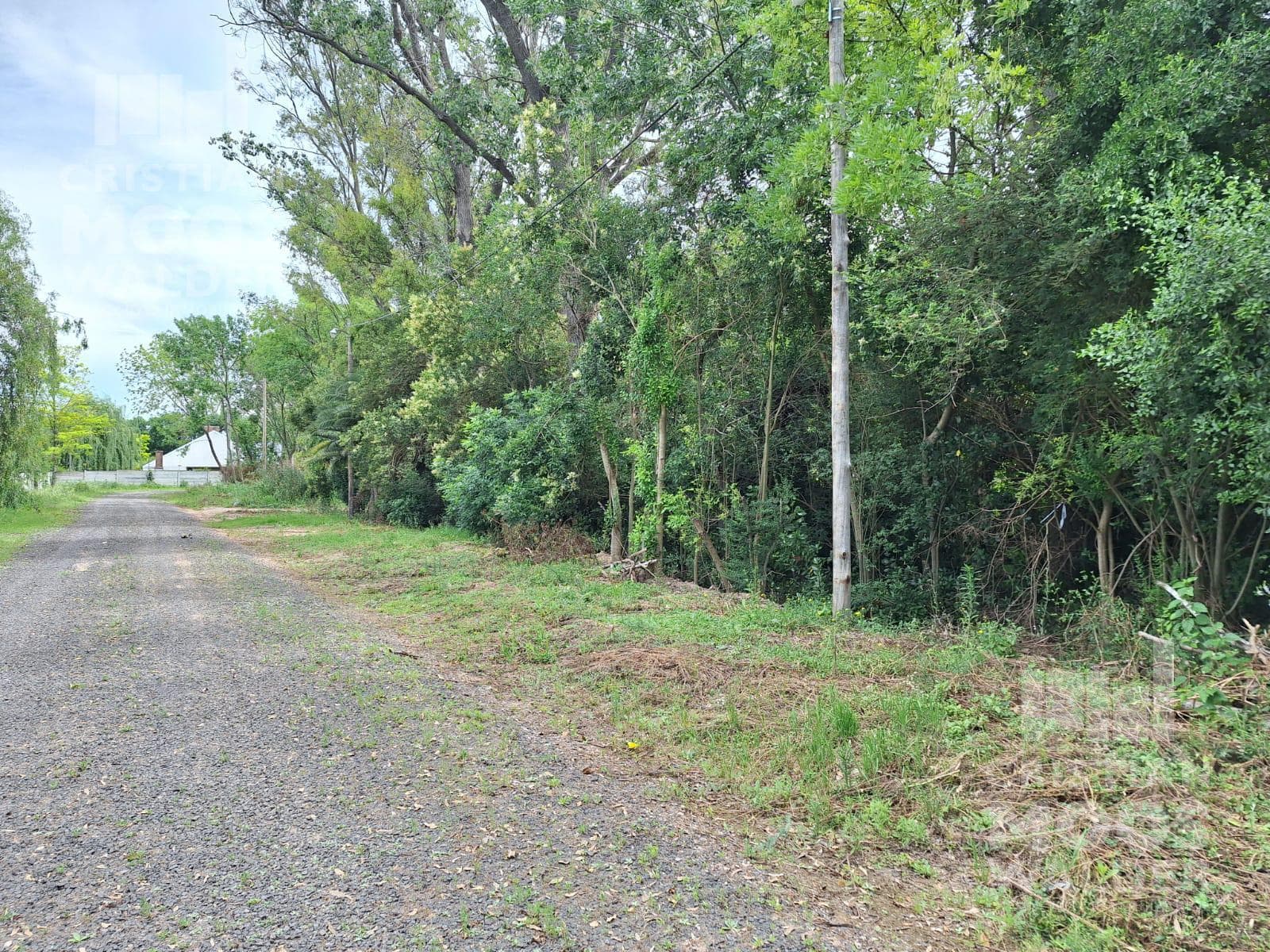 Land for sale in Garin.
