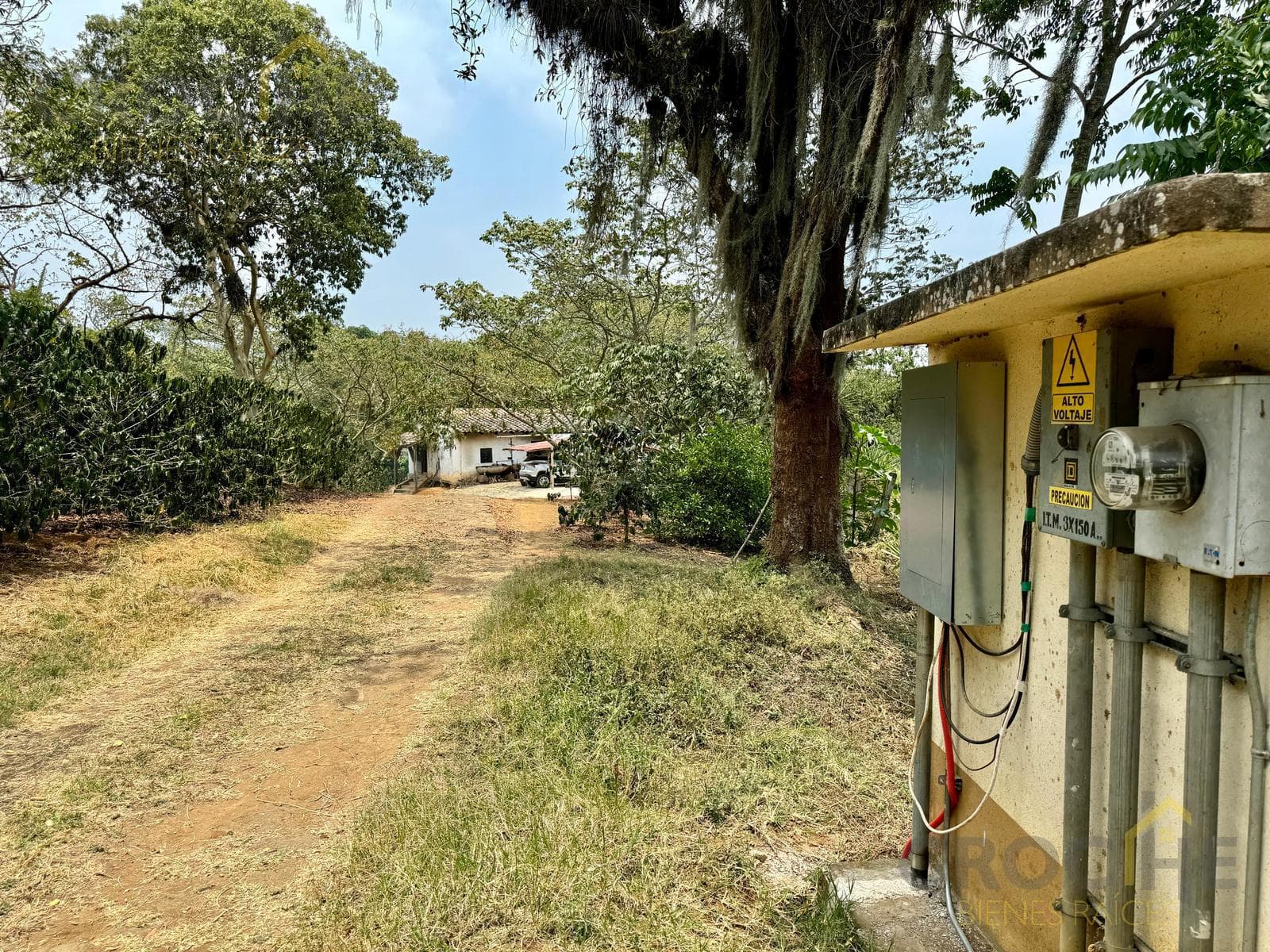 El Tucán Ranch for Sale in Pacho Viejo, Coatepec, Ver.