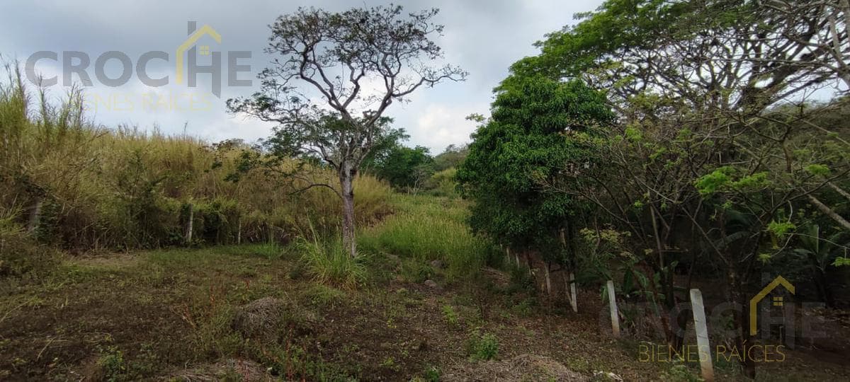 Land for Sale in Lencero—See the Bodegas Liverpool 1 Area 1