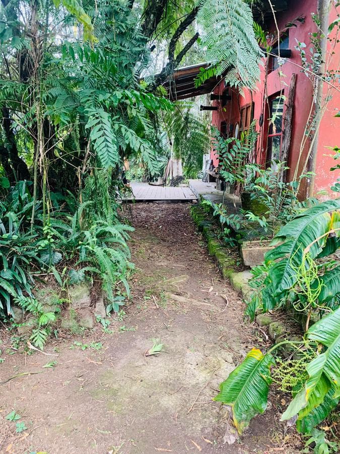 Land for sale in Banderilla. See the downtown area