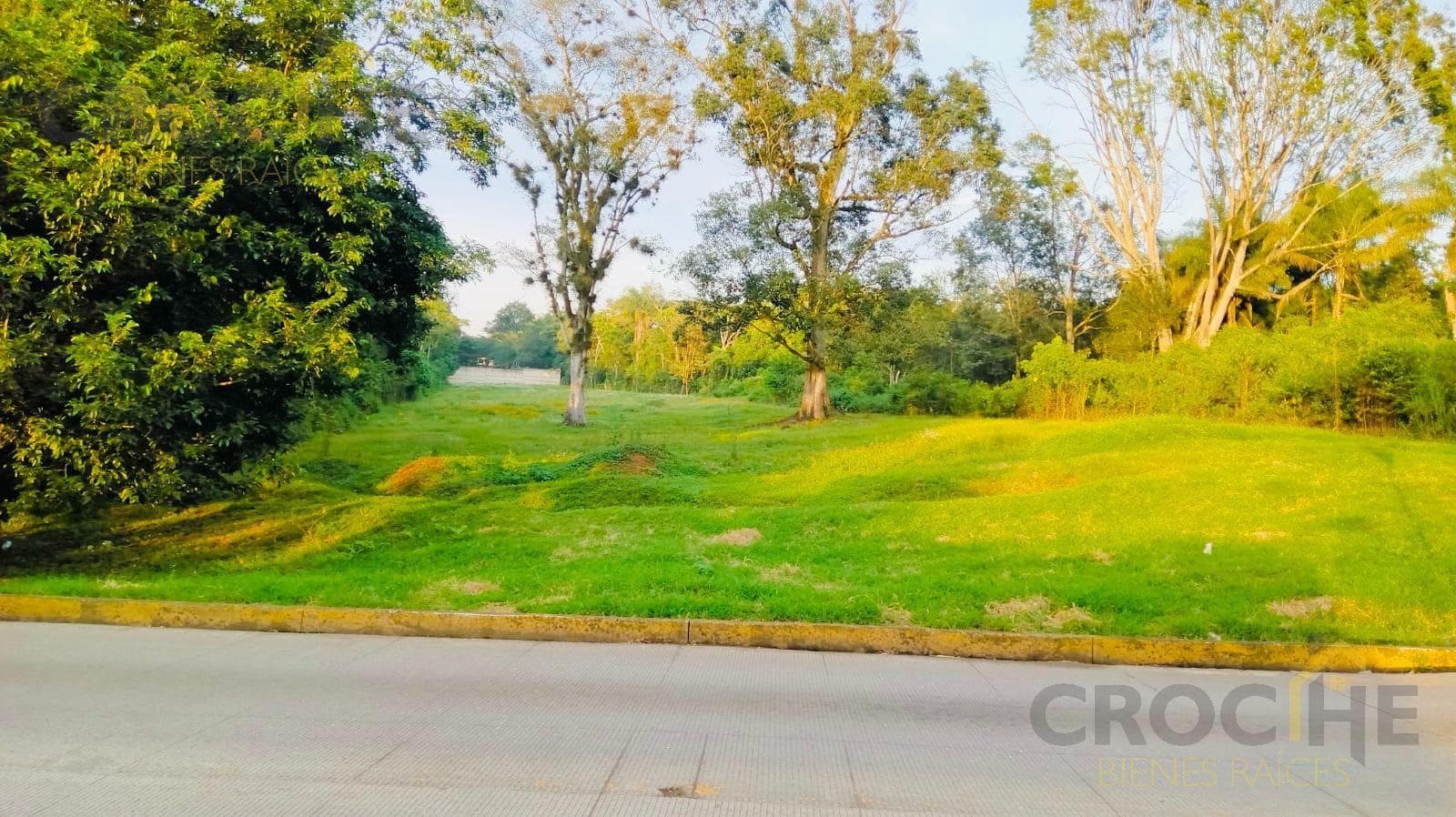 Opportunity in Coatepec, Veracruz: Land for Sale