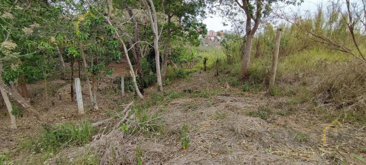 Land for Sale in Lencero—See the Bodegas Liverpool 1 Area 1