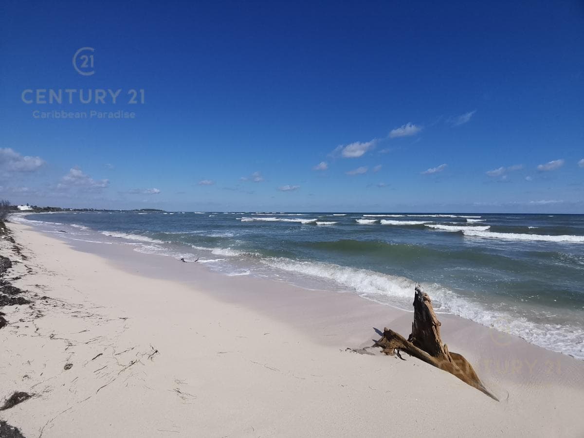 Oceanfront Lot for Sale in Mahahual with 20 Meters of Beachfront | P2699