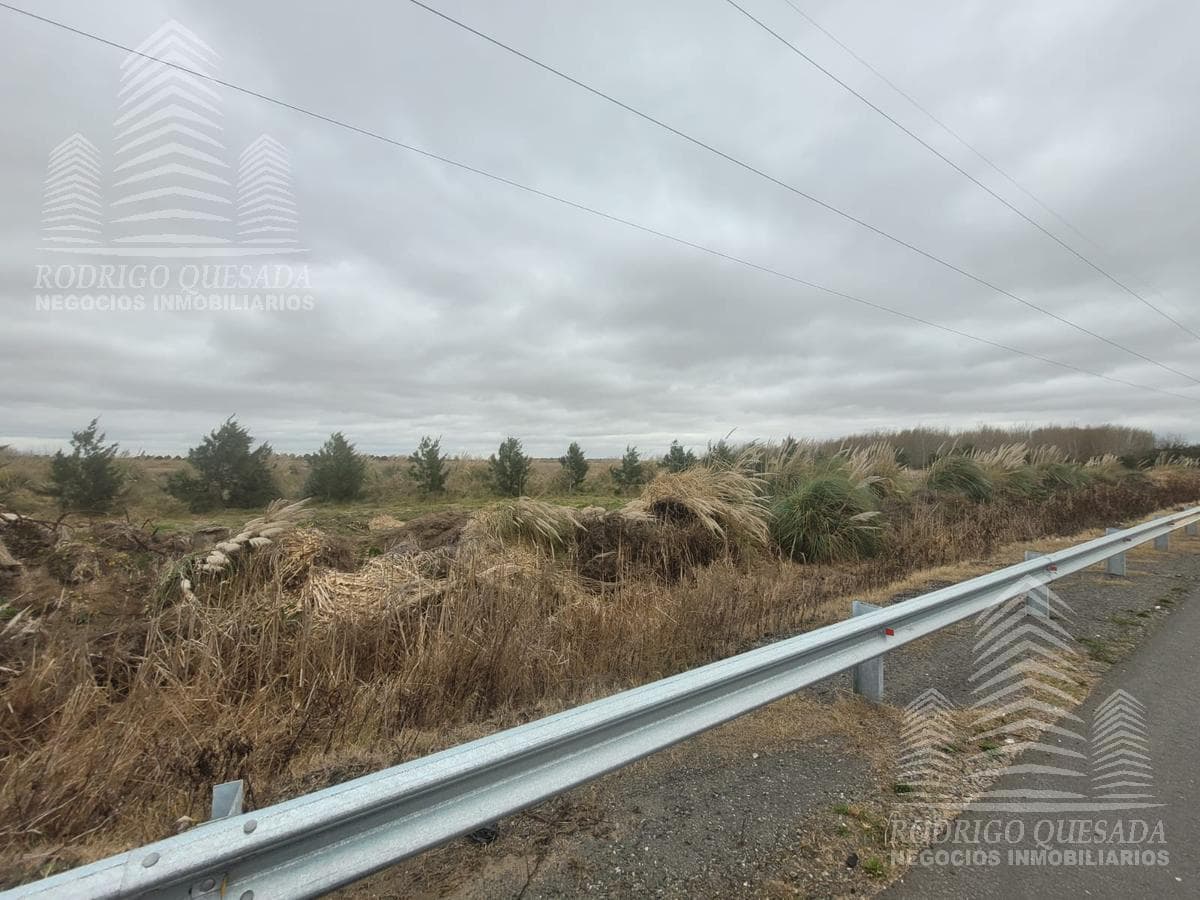 Lots—Across from the Costa del Este entrance—Each lot is 4,000 m²; $95,000 each