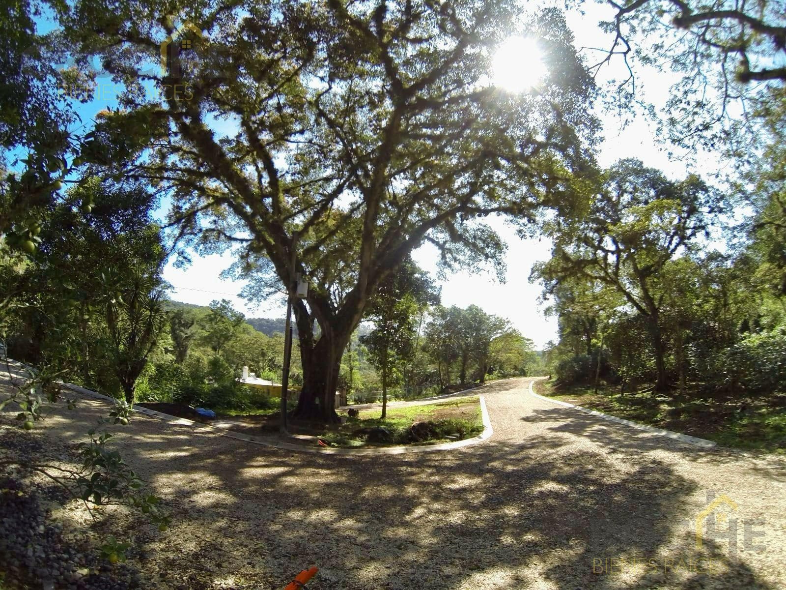 Land for Sale in Consolapan, Coatepec, Veracruz—Briones Area, Campestre Residential Community