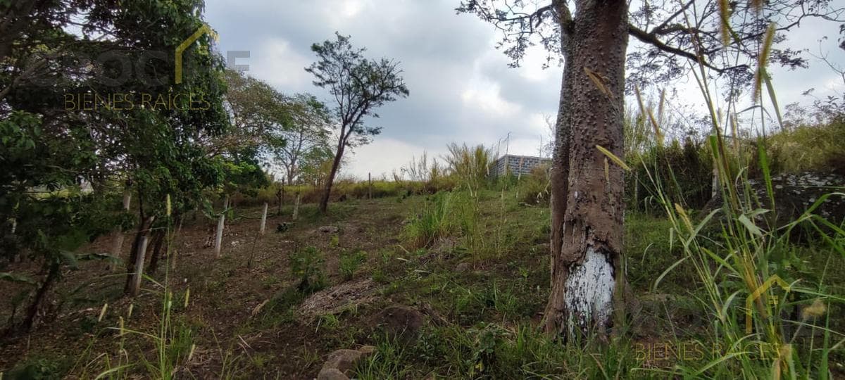 Land for Sale in Lencero—See the Bodegas Liverpool 1 Area 1