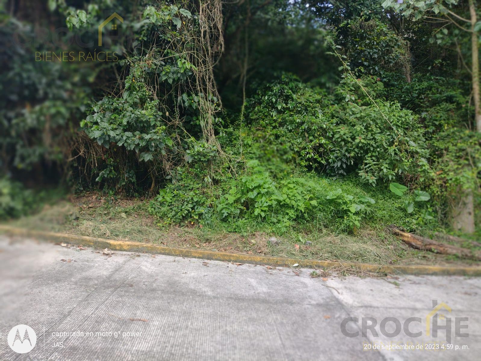 Land for Sale in the Las Orquídeas Subdivision, Coatepec