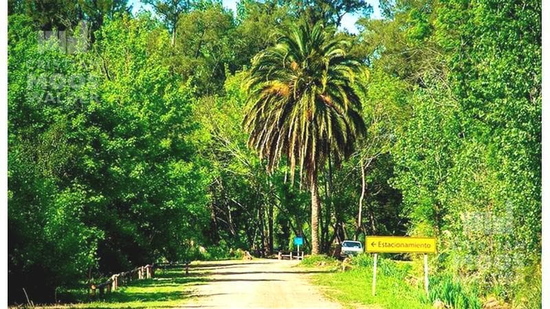 Land for Sale in the Acacias Neighborhood, Puertos del Lago.