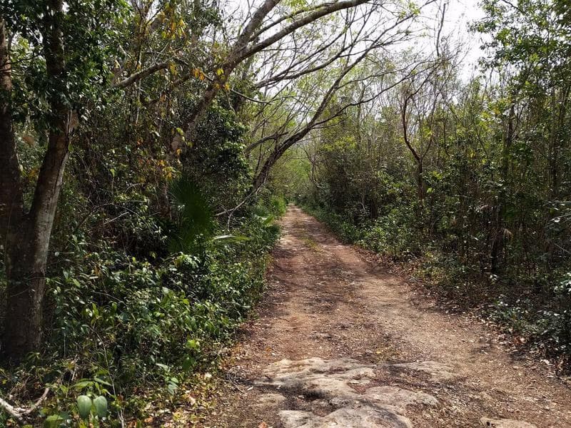 Large Lot with a Cenote for Sale in Leona Vicario C1939