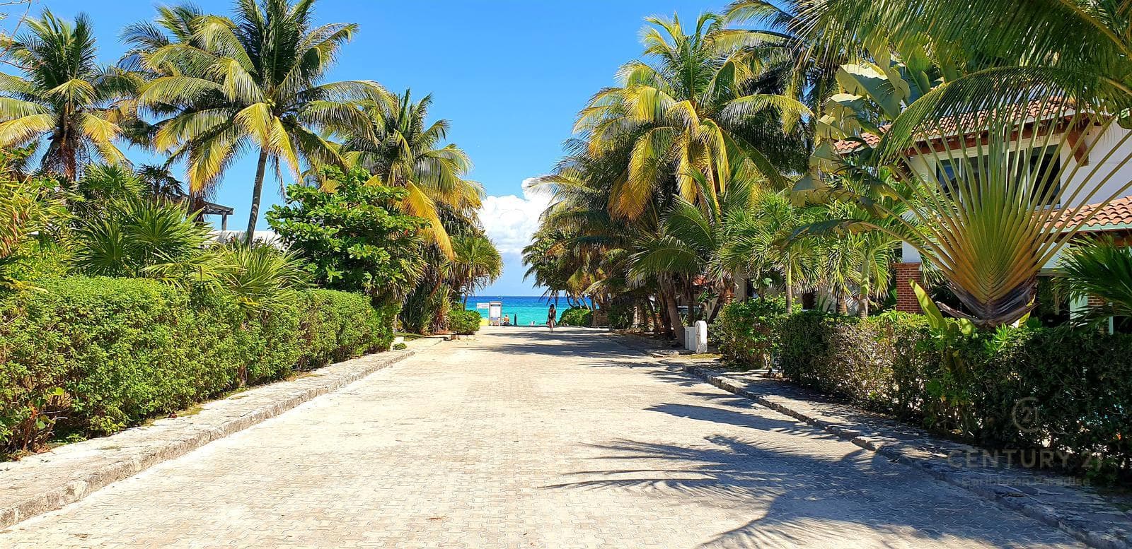 Beautiful 3-Bedroom House with 2 Studios in Playacar Phase I