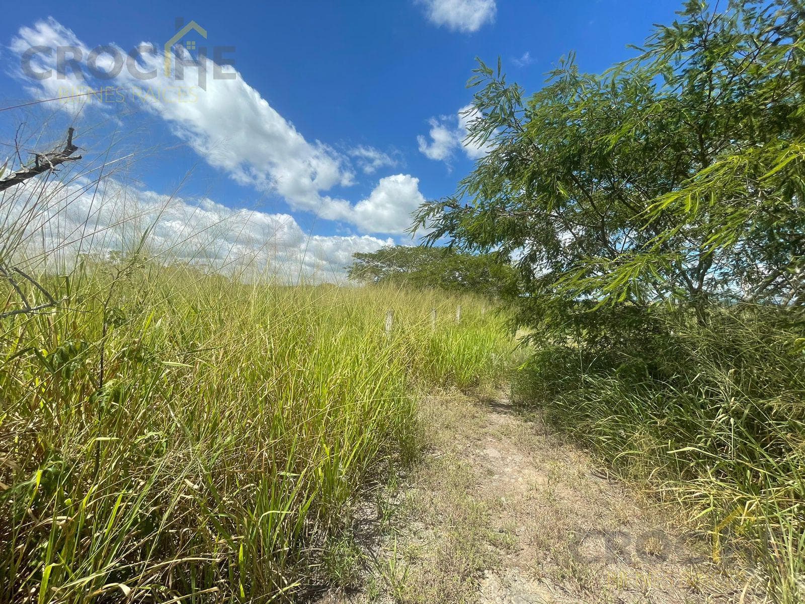 Land for Sale in 2 Ríos, Emiliano Zapata, Veracruz.