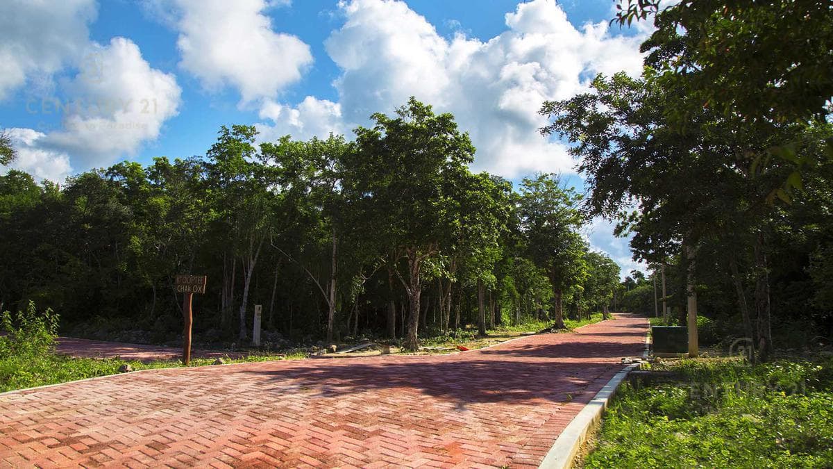 Residential Lot for Sale | Chemuyil, Tulum | Build Up to 3 Stories Near Xcacel | P2955