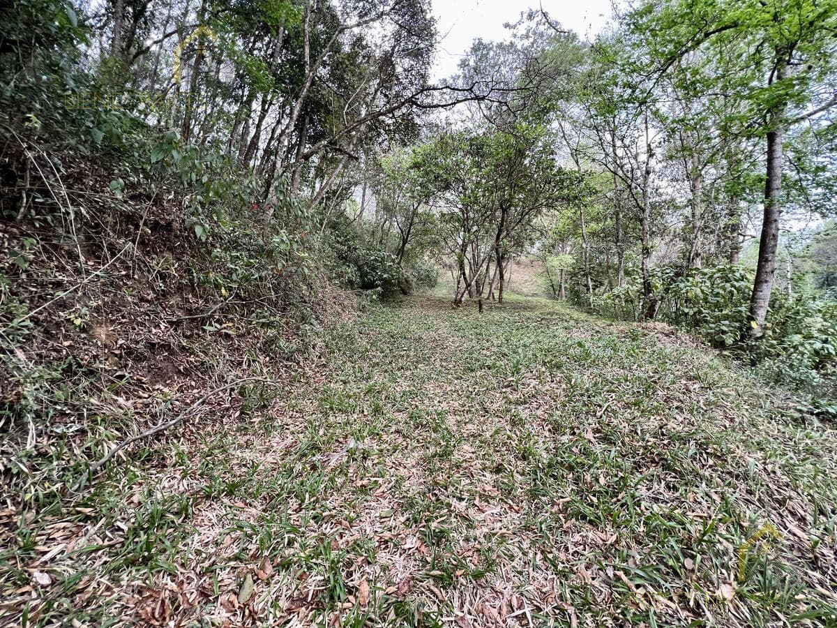 Land for sale in Rancho Viejo, Veracruz, in the Coapexpan area.
