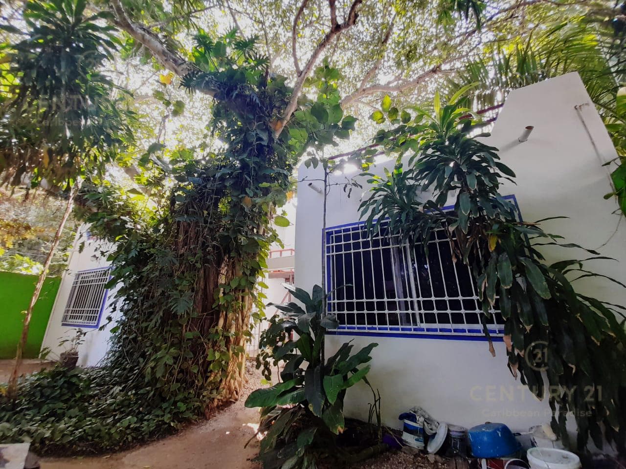 4-Bedroom House for Sale in Downtown Playa del Carmen | Ideal for Investment | P4101