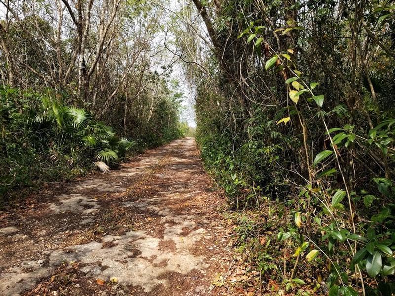 Large Lot with a Cenote for Sale in Leona Vicario C1939