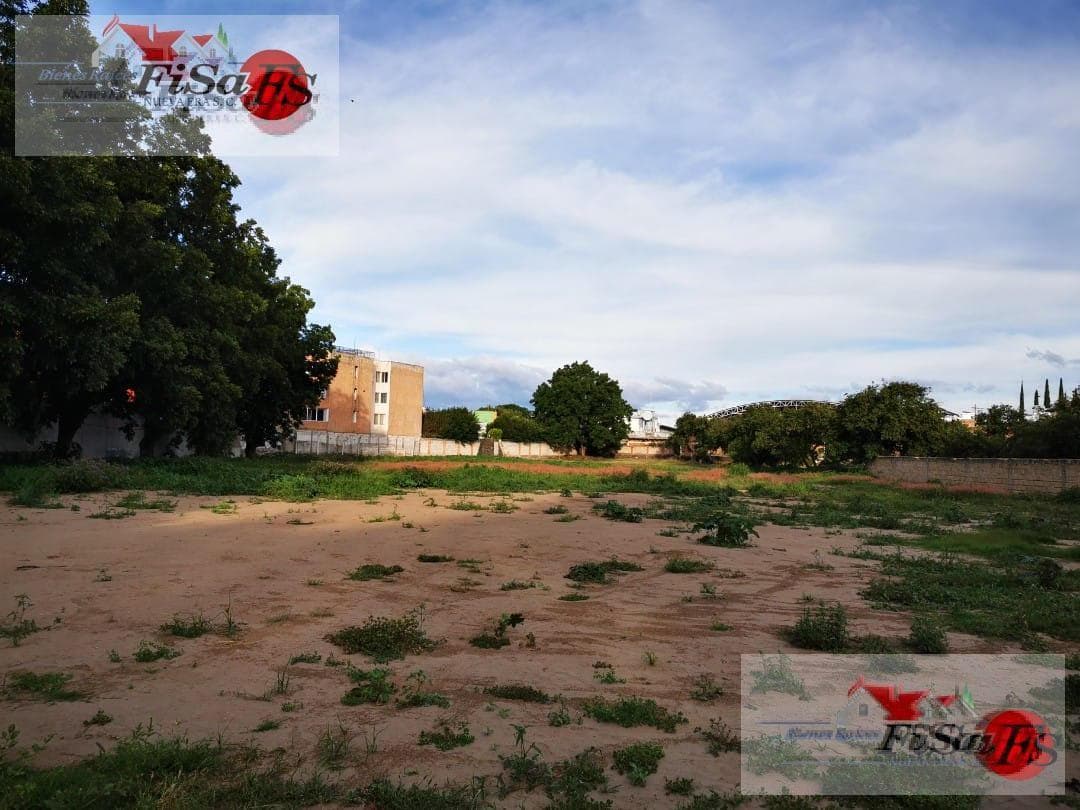 Land - Downtown