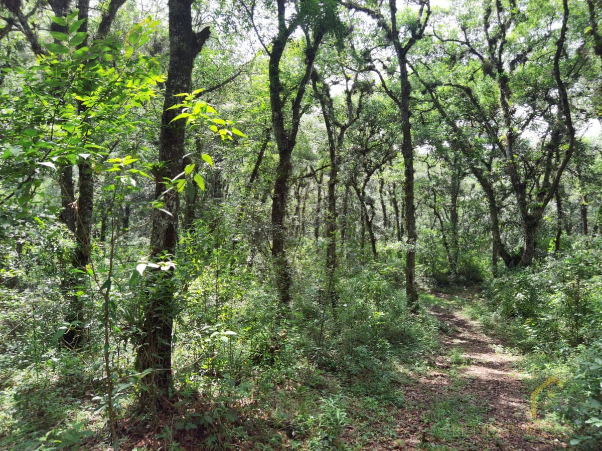 Land for sale in Coacoatintla, Veracruz, at KM 9, with stone quarrying operations