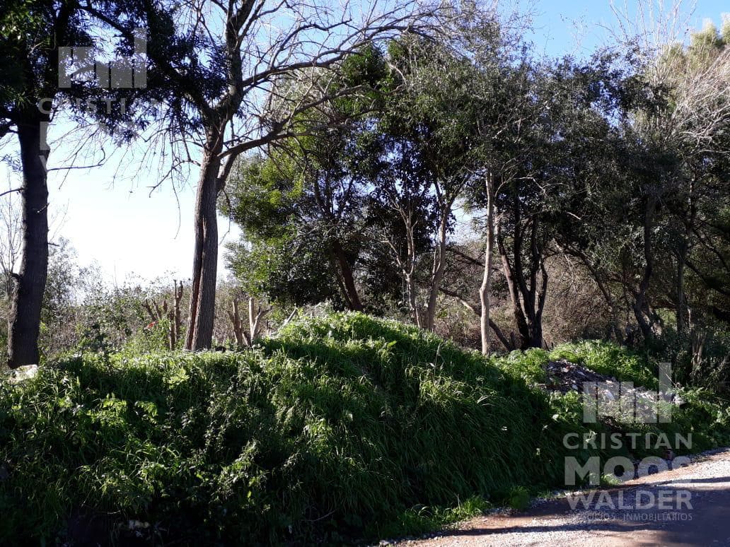Lot for Sale in Loma Verde -