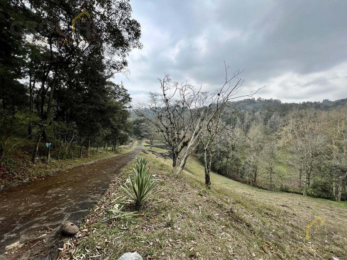 Ranch for sale in Rancho Viejo Xolostla, 10 minutes from Xalapa in the Coapexpan area.