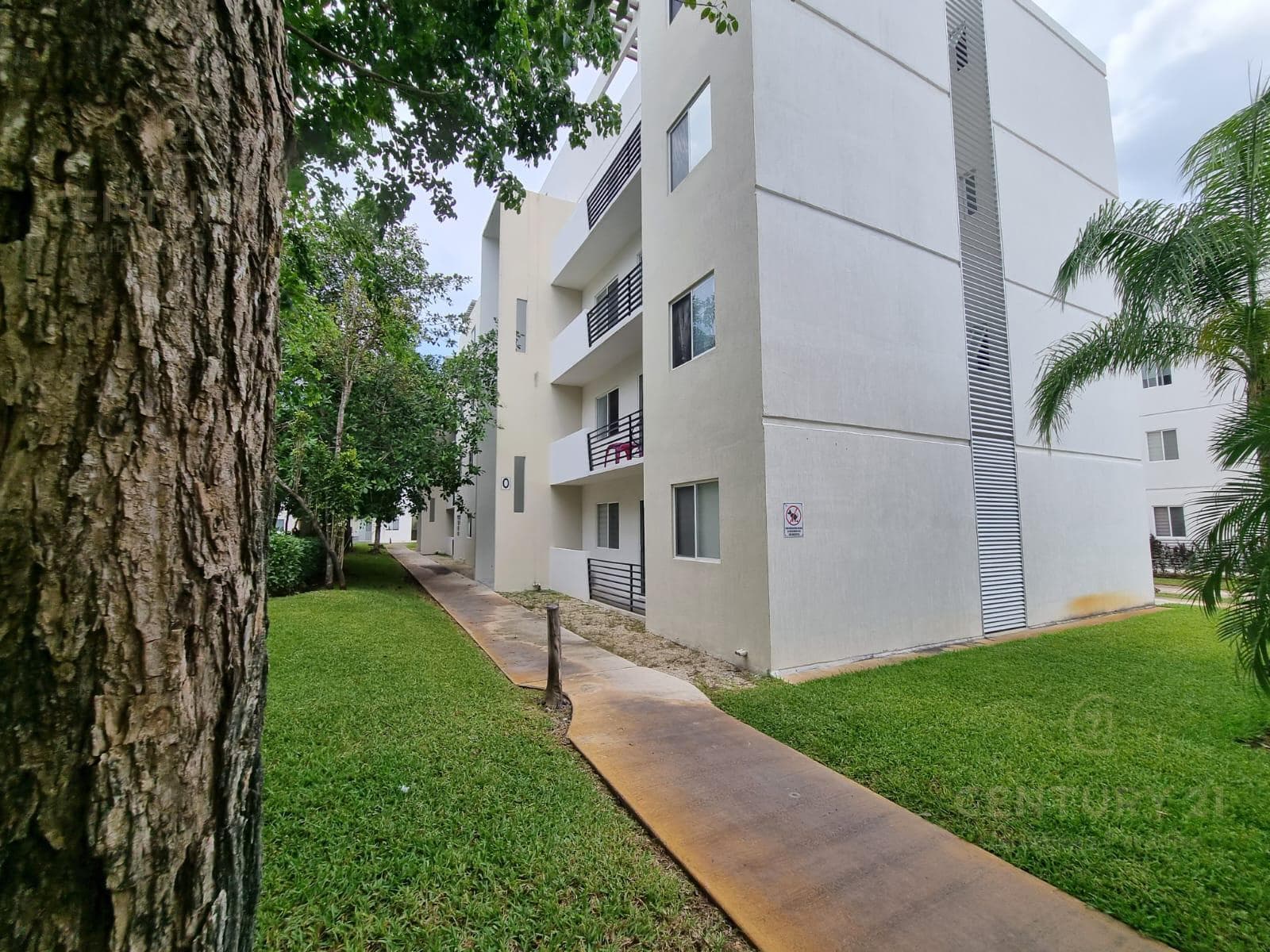 Furnished 3-bedroom apartment for rent in Los Olivos, Playa del Carmen P3505