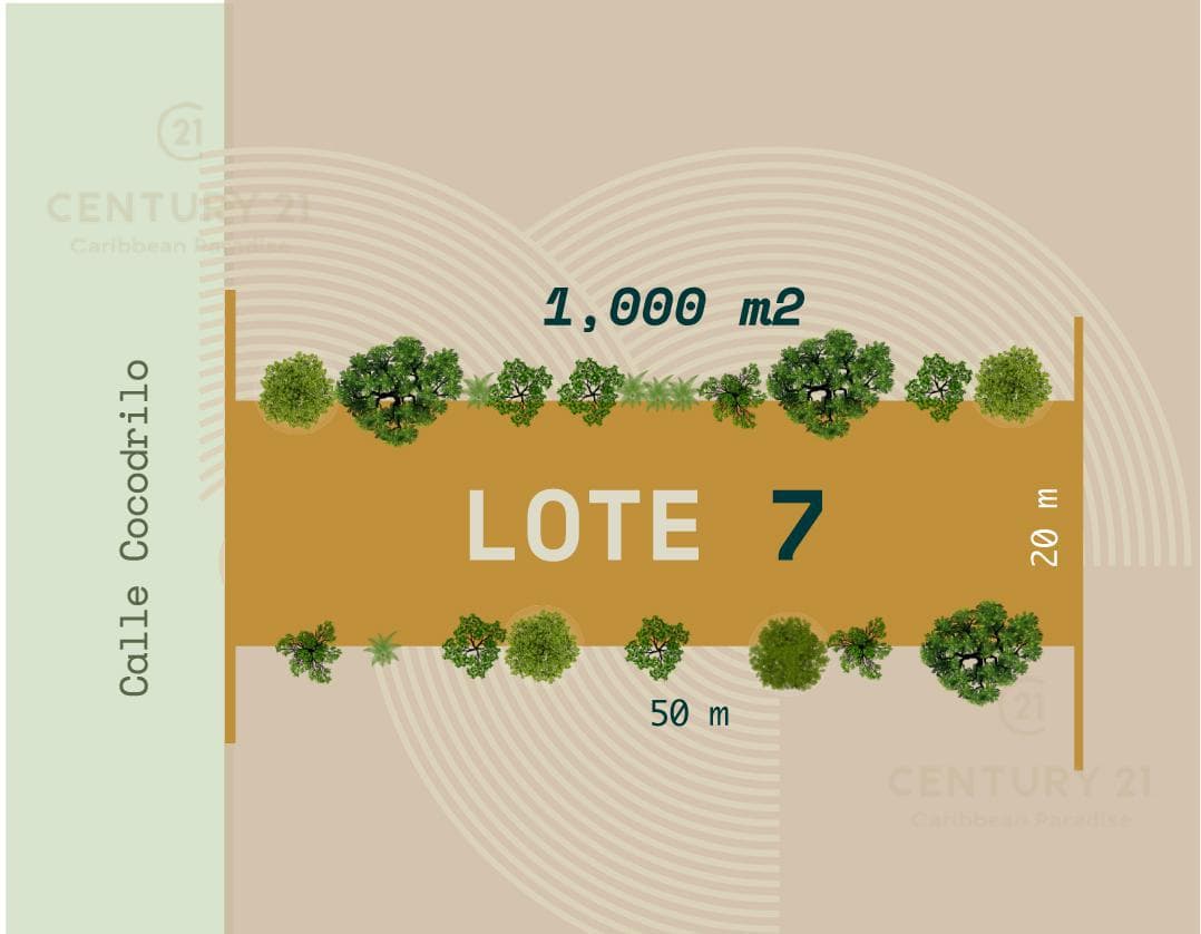 Beautiful Residential Lots for Sale in Francisco Uh May, 20 Minutes from Tulum P3998