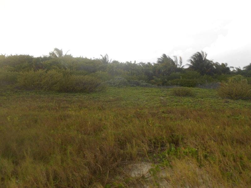 Oceanfront Residential Lot for Sale in Bocapaila | Ideal for Development | P1277