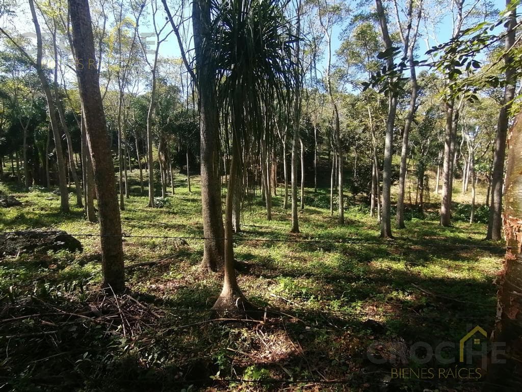 LAND FOR SALE IN LA CONCEPCIÓN, VERACRUZ