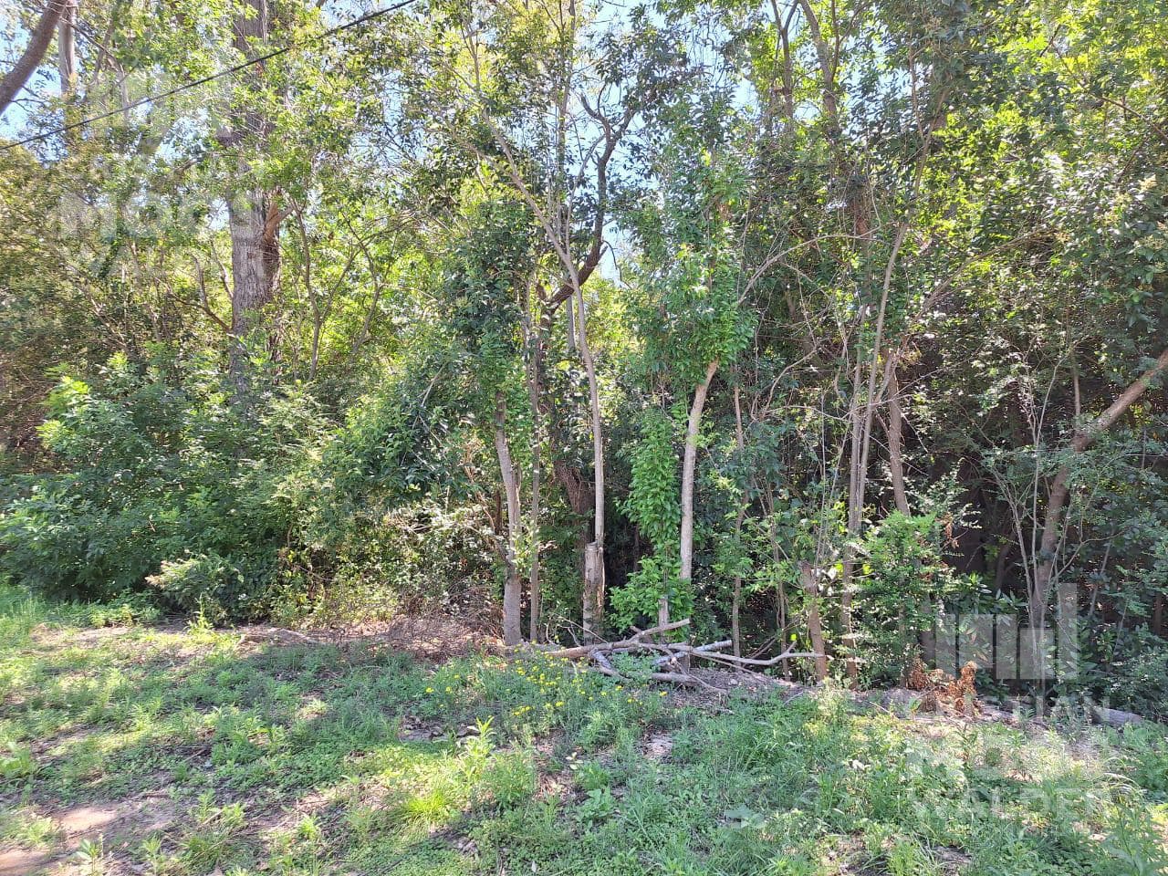 Land for sale with financing from Garin.