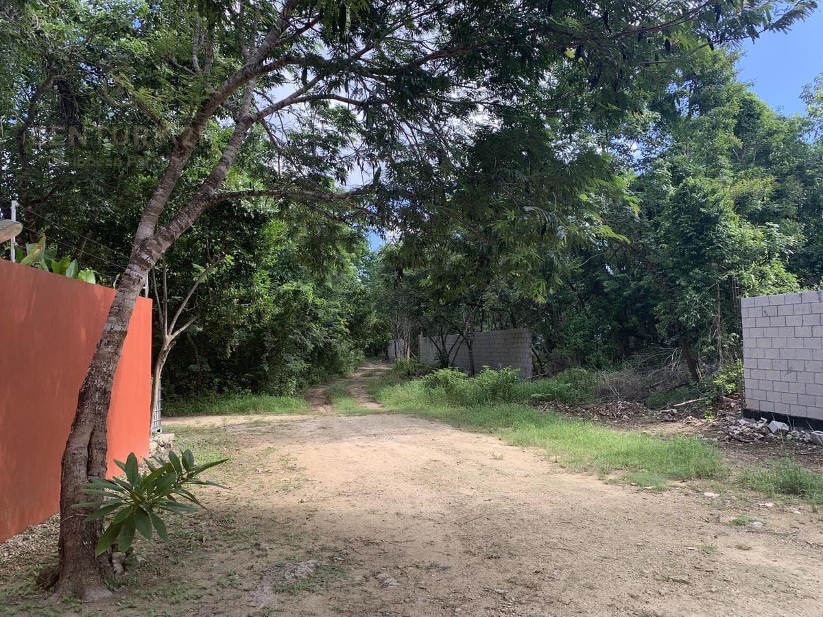 Residential Lot for Sale in Puerto Morelos | Spacious Lot Near the Mexican Caribbean | C3190