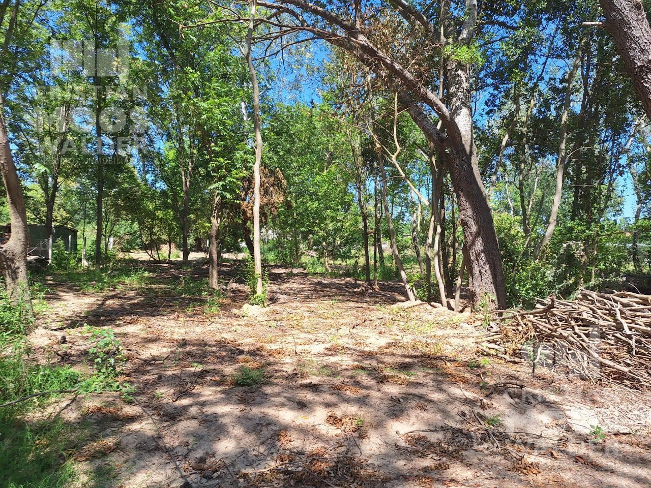 Land for sale in Garin.