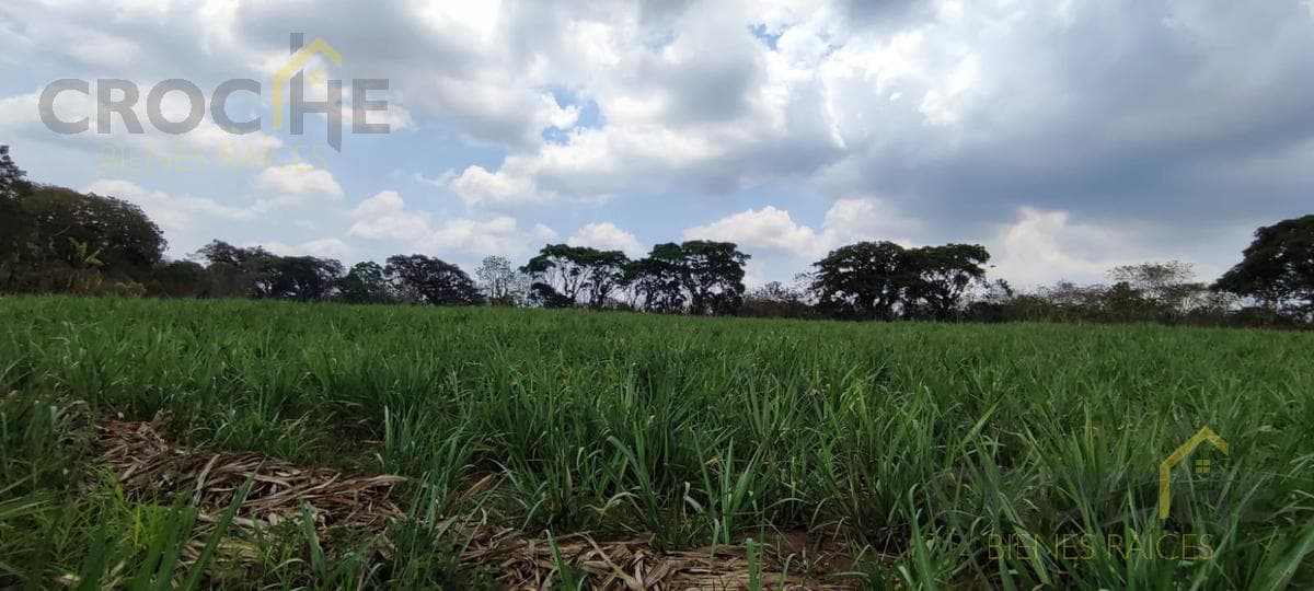 Land for Sale in Pacho Nuevo: 4 Hectares