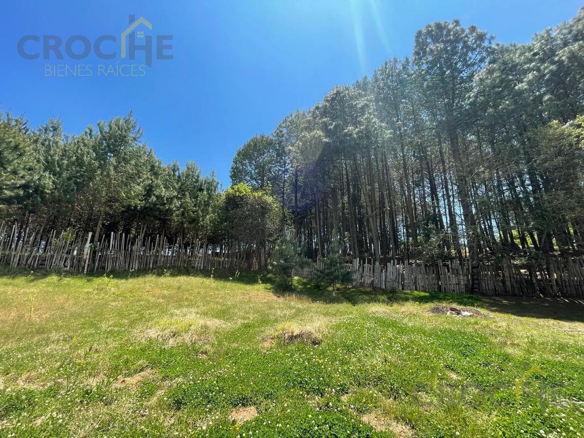 LAND FOR SALE IN THE MANZANILLO NEIGHBORHOOD, LAS VIGAS DE RAMIREZ MUNICIPALITY