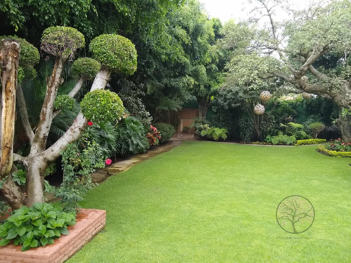 House - Cuernavaca