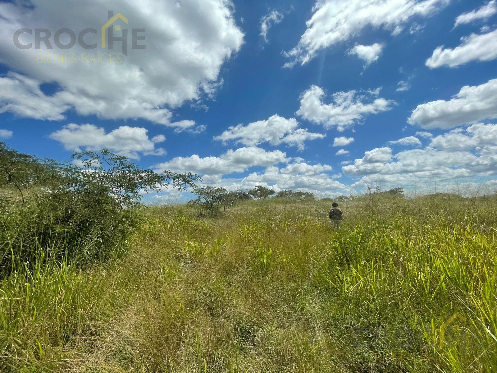 Land for Sale in 2 Ríos, Emiliano Zapata, Veracruz.