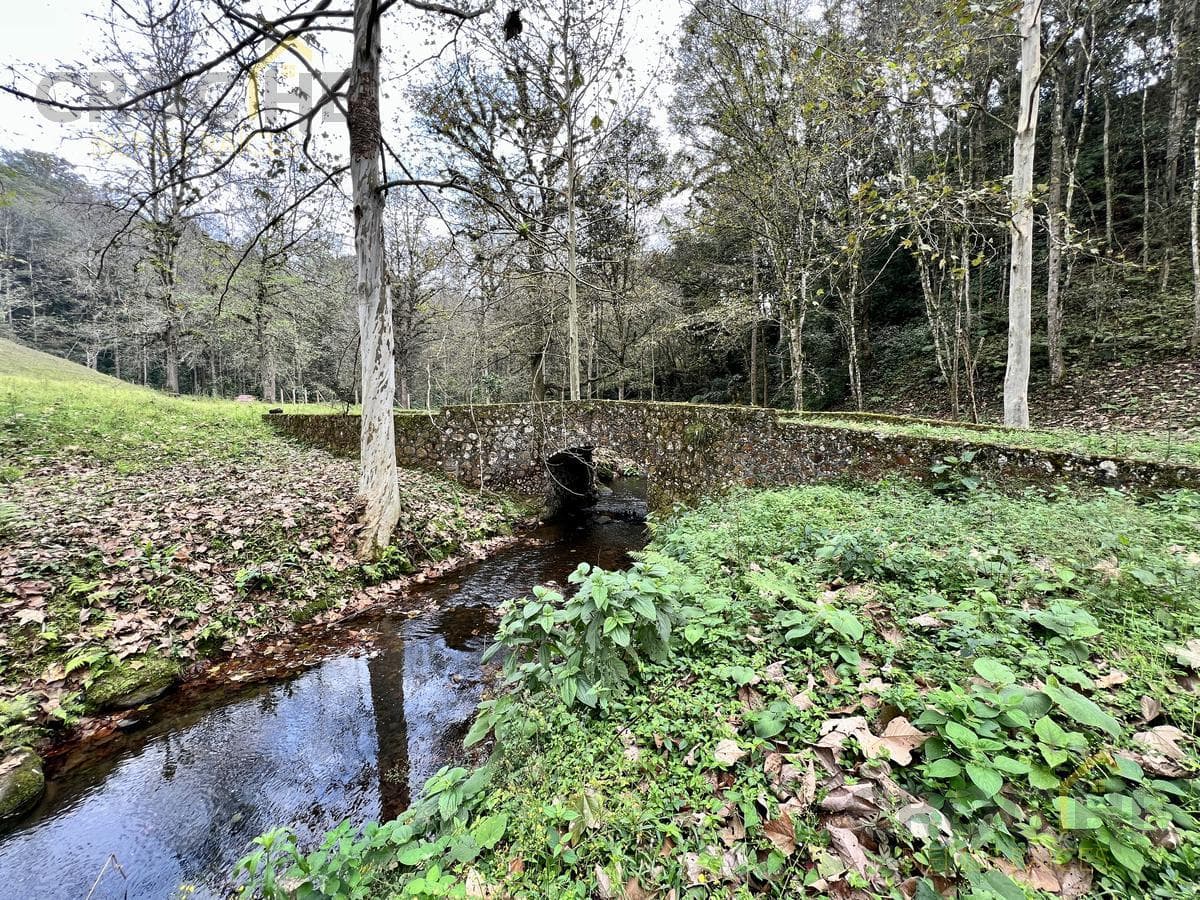 Ranch for sale in Rancho Viejo Xolostla, 10 minutes from Xalapa in the Coapexpan area.