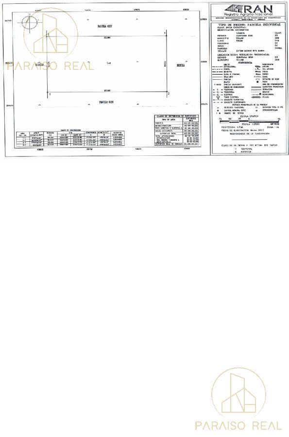 5 hectares in Tulum, Colonia Crystal. Available for rent by the hectare—price negotiable