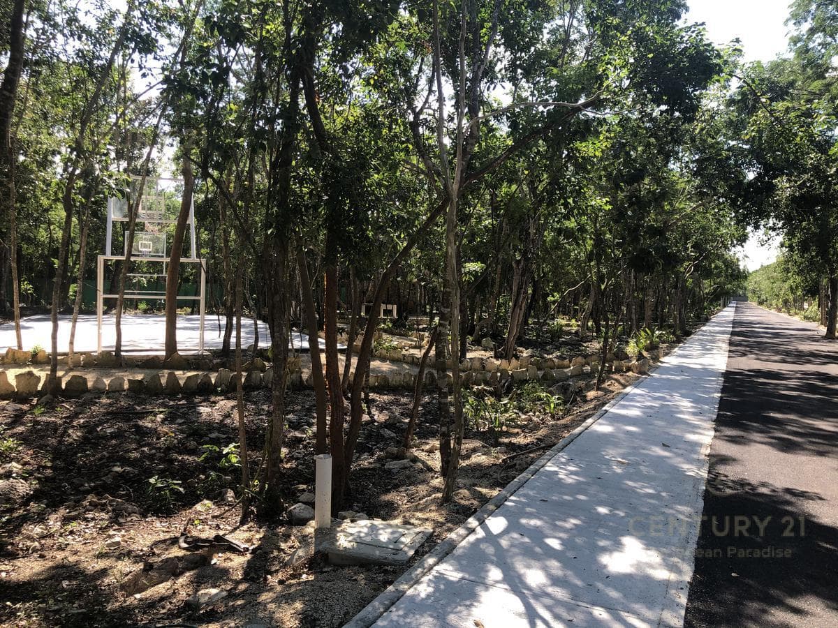 Lots for Sale in a Beautiful Residential Development in Xpu-Ha, Riviera Maya P2524