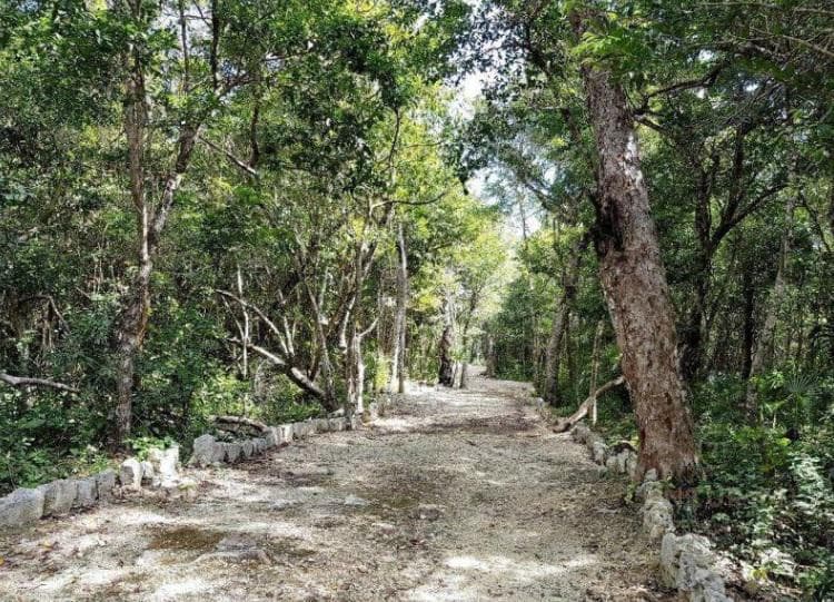 Residential Lot for Sale | Aldea Coral Chemuyil | Ideal for an Eco-Friendly Project | P4129