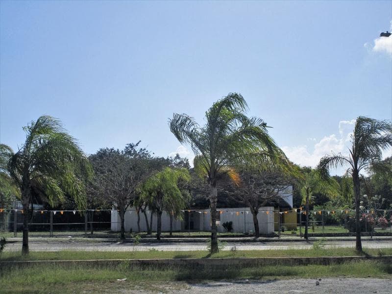 Lot zoned for commercial use in Los Arrecifes, Playa del Carmen, P2609