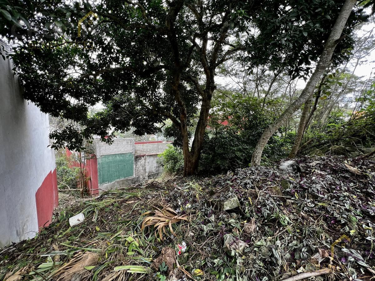 Land for sale in Xalapa, behind the Volkswagen Araucarias