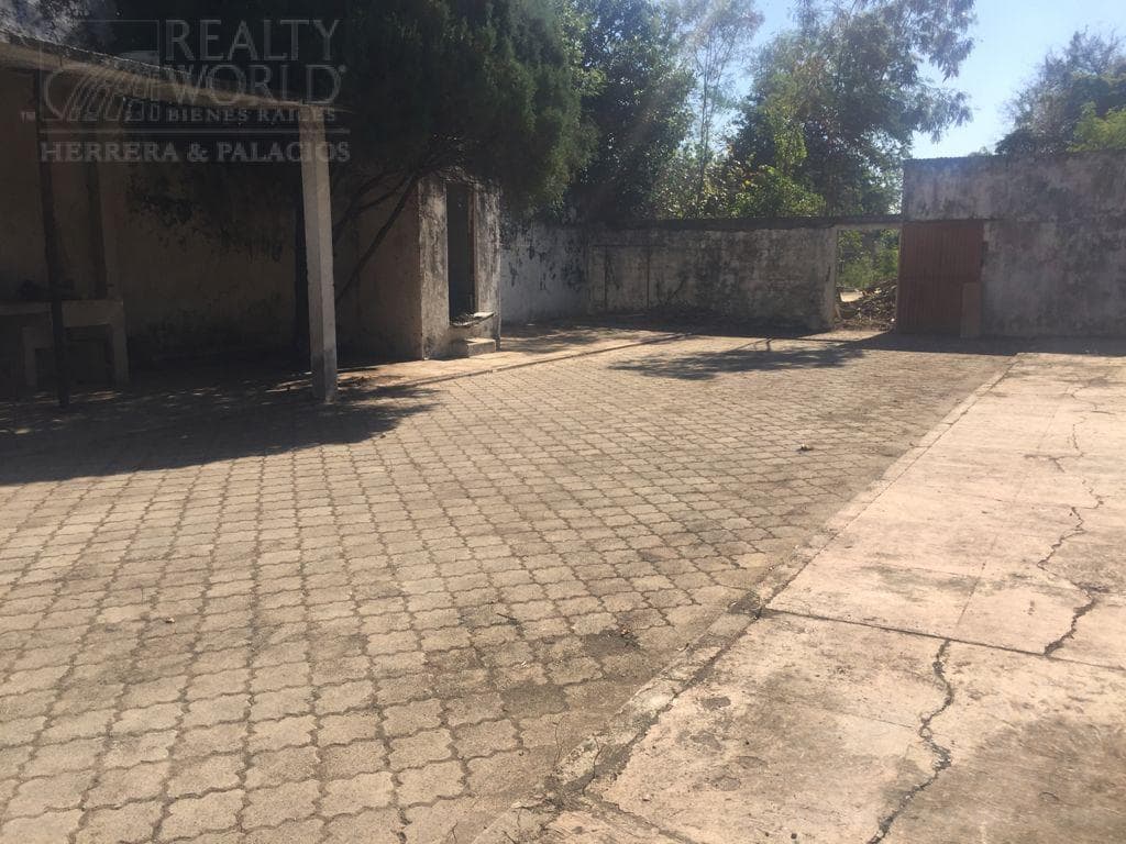 Home - Montemorelos