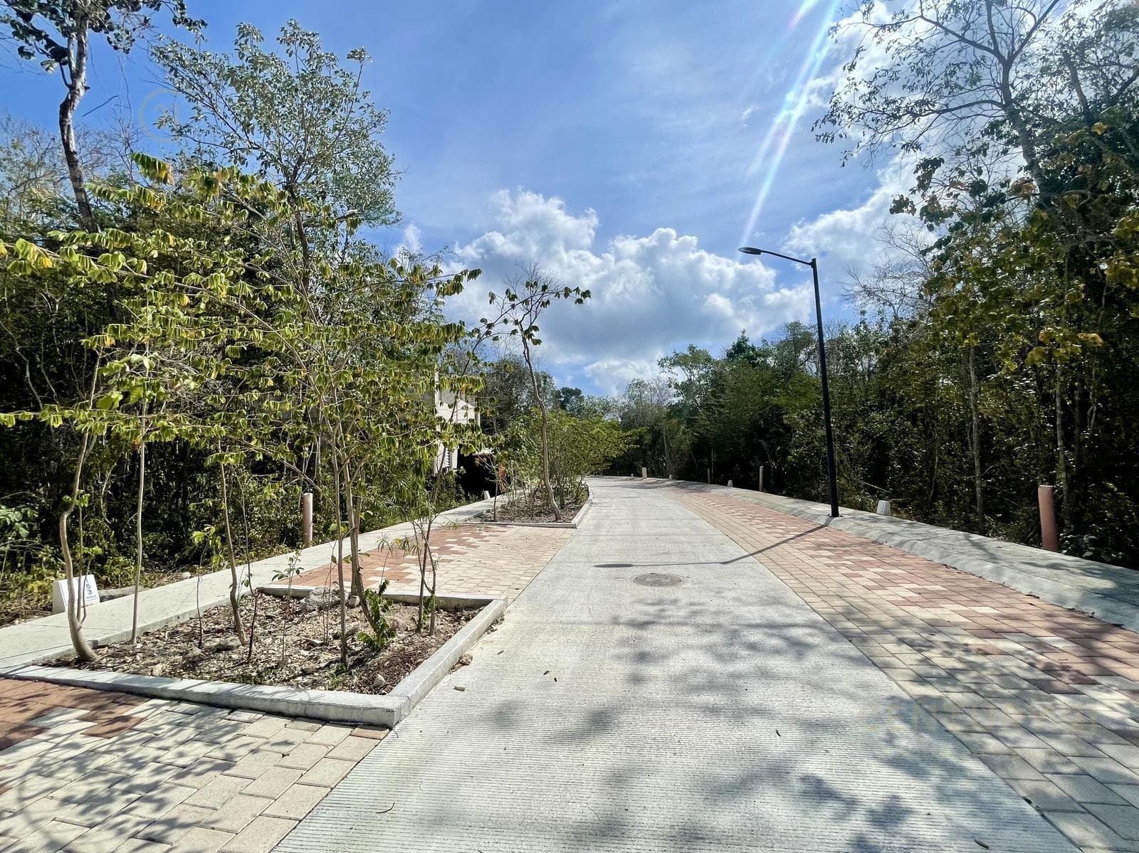Residential Lot for Sale | Mayakoba Country Club | Invest Surrounded by Nature and Golf | P4159