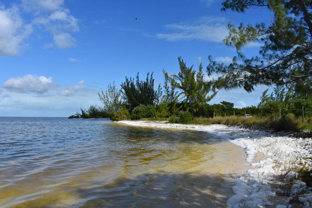 Land for Sale in Isla Blanca, Laguna Chacmuchuc, Cancún