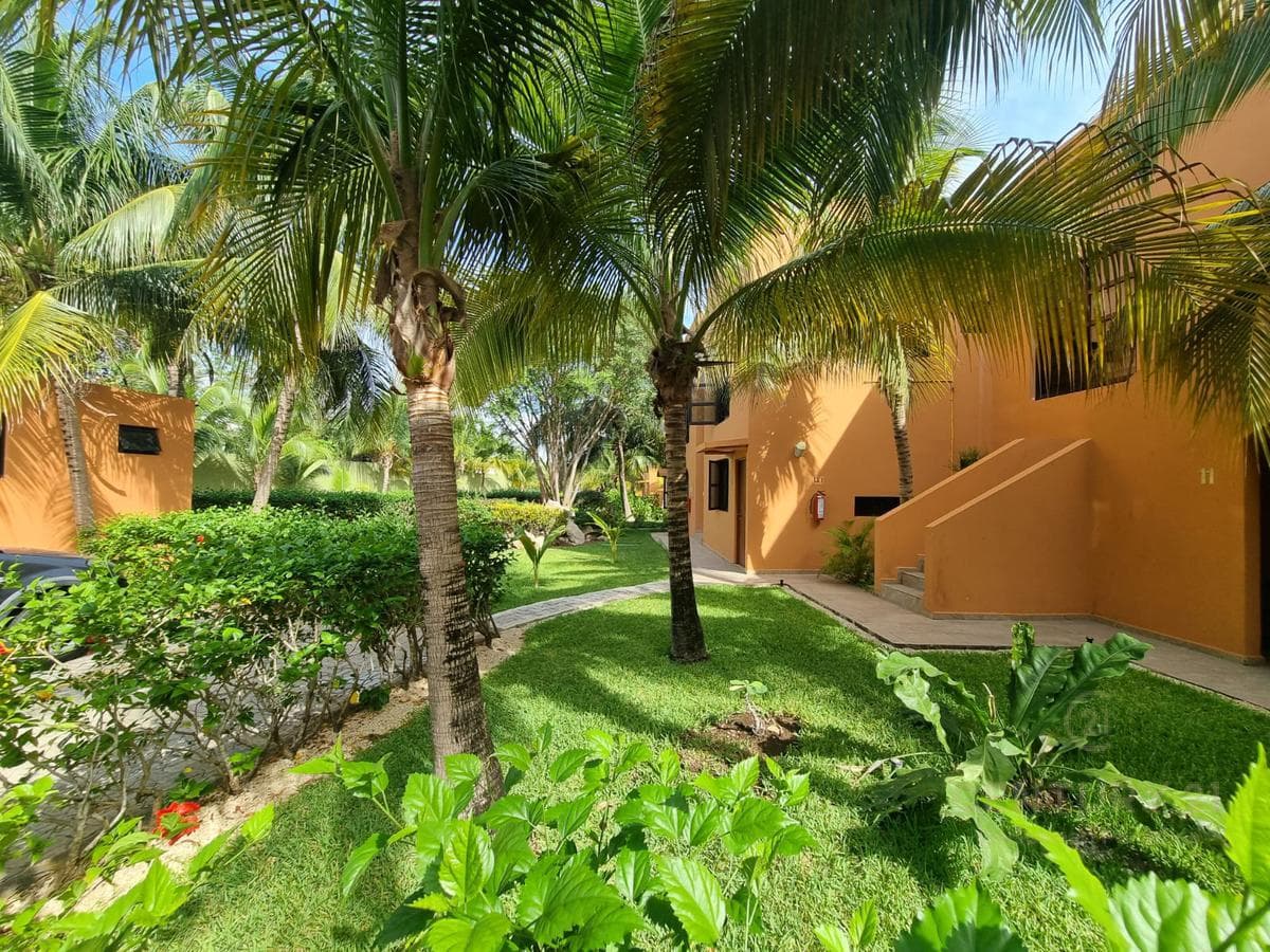 SE RENTA DEPARTAMENTO 2 HAB CARRETERA PLAYA-TULUM P2102