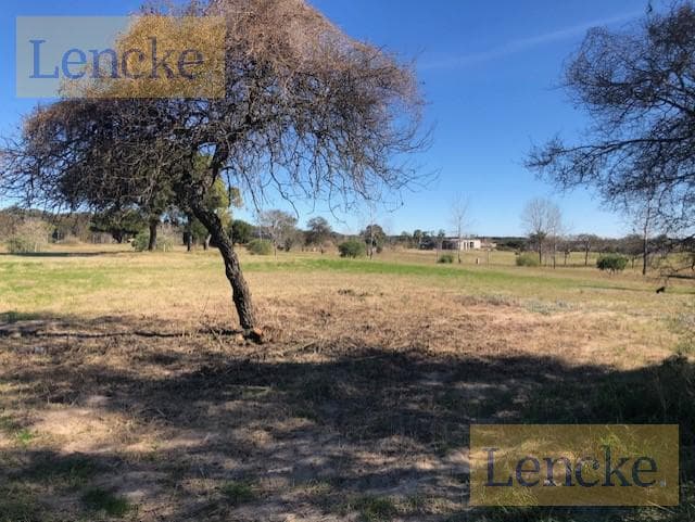 A very nice lot at Carmelo Golf, for sale directly from the owner with financing available