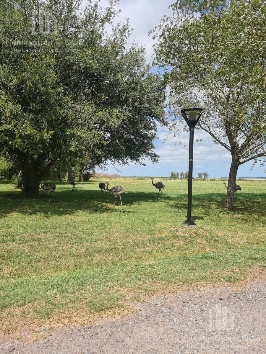 Opportunity - Prime Location - El Mirador - Samborombón