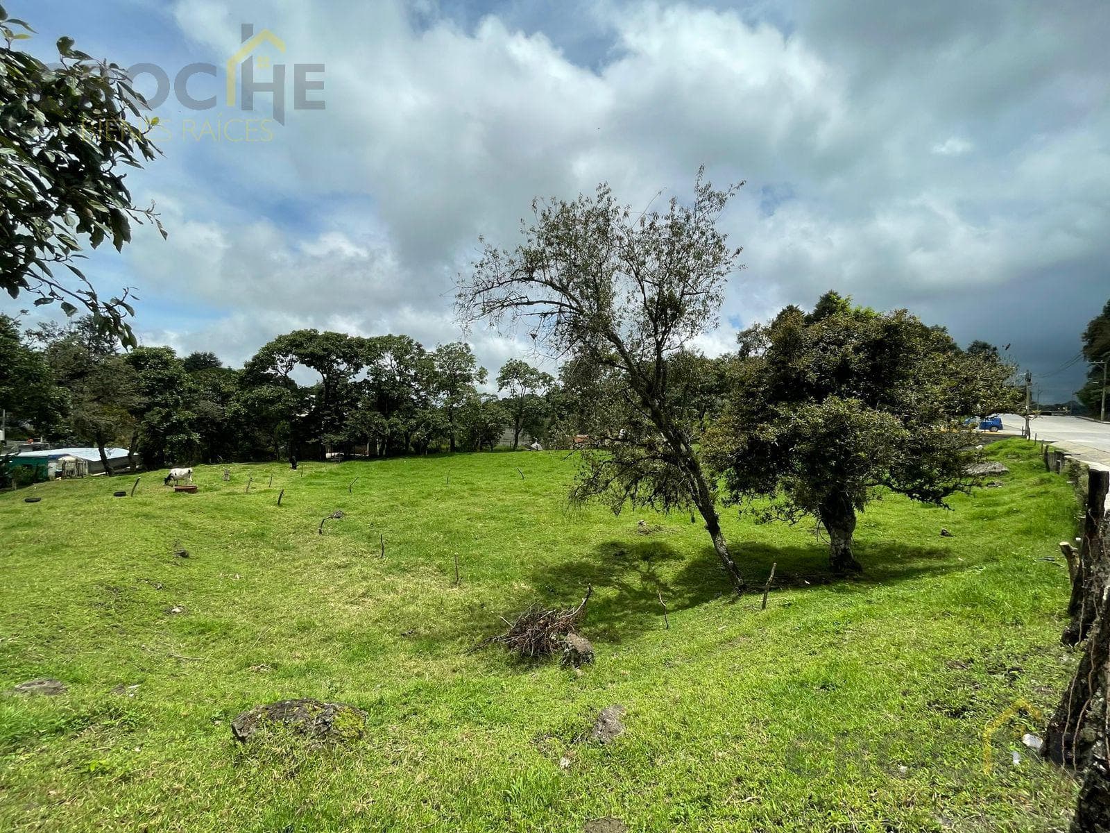 Land for Sale in the Municipality of Rafael Lucio, Veracruz