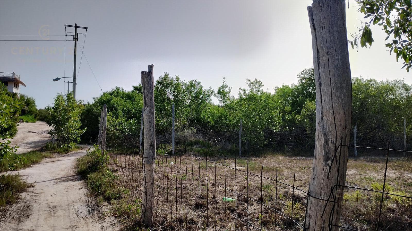 Commercial Lot for Sale in Holbox | Develop Eco-Luxury Villas in the Mexican Caribbean | P4068