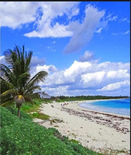Land - Tulum