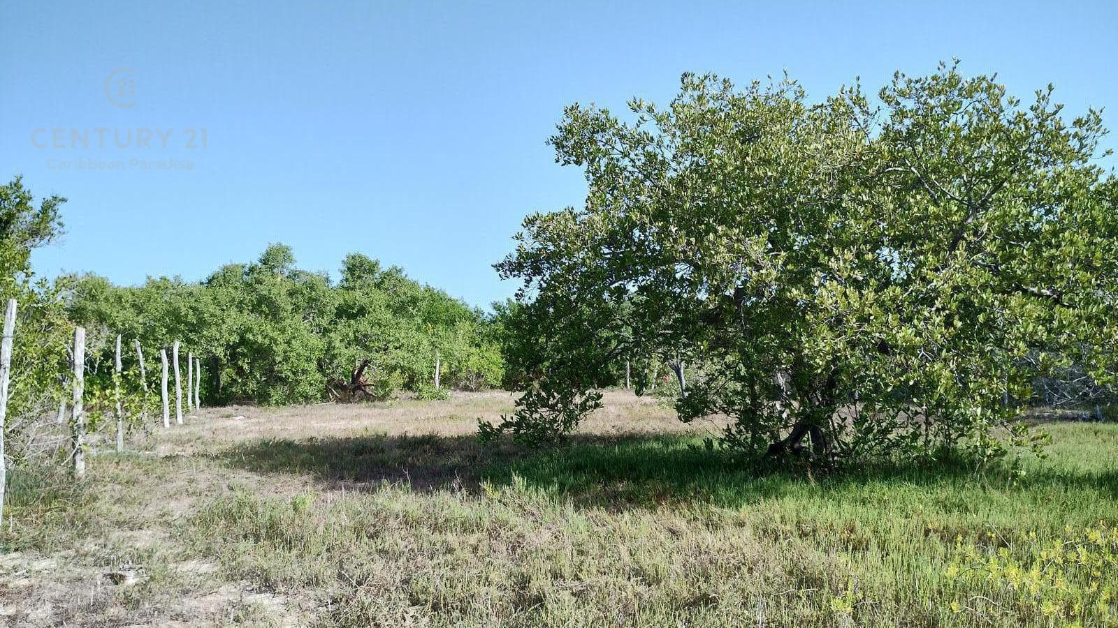 Commercial Lot for Sale in Holbox | Develop Eco-Luxury Villas in the Mexican Caribbean | P4068